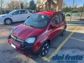 1 FIAT Panda Cross