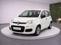 1 FIAT Panda