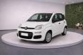 1 FIAT Panda